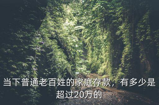 當(dāng)下普通老百姓的家庭存款，有多少是超過20萬的