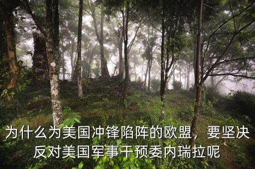 為什么為美國沖鋒陷陣的歐盟，要堅(jiān)決反對(duì)美國軍事干預(yù)委內(nèi)瑞拉呢