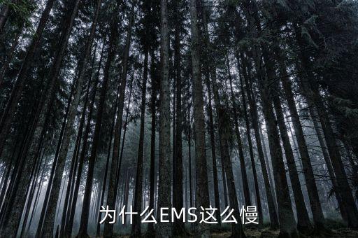 為什么EMS這么慢