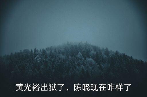 黃光裕出獄了，陳曉現(xiàn)在咋樣了