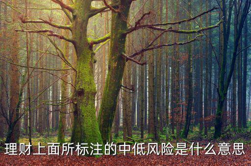 理財中低風(fēng)險什么意思,穩(wěn)健理財中低風(fēng)險