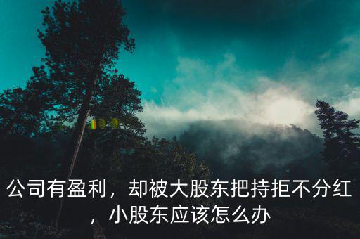 公司有盈利，卻被大股東把持拒不分紅，小股東應(yīng)該怎么辦