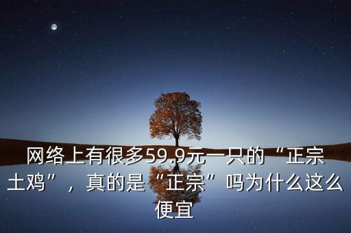 網(wǎng)絡(luò)上有很多59.9元一只的“正宗土雞”，真的是“正宗”嗎為什么這么便宜