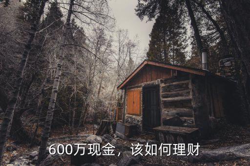 600萬(wàn)怎么理財(cái),目前手里有600萬(wàn)資金