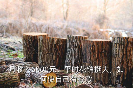 月收入5000怎么存錢,每月有5000的收入