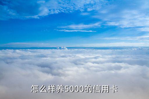 怎么樣養(yǎng)5000的信用卡