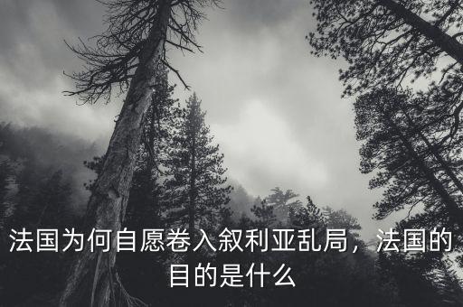 法國為何自愿卷入敘利亞亂局，法國的目的是什么