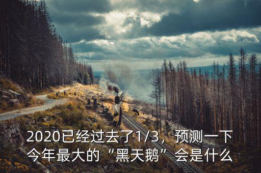 2020已經(jīng)過(guò)去了1/3，預(yù)測(cè)一下今年最大的“黑天鵝”會(huì)是什么