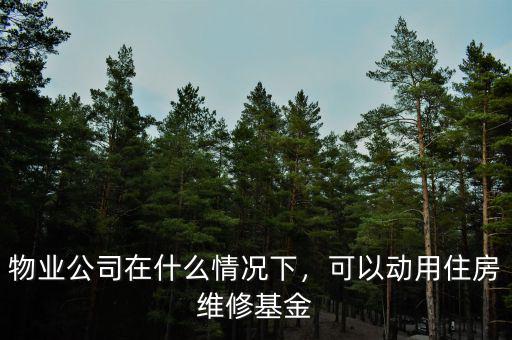 物業(yè)公司在什么情況下，可以動用住房維修基金