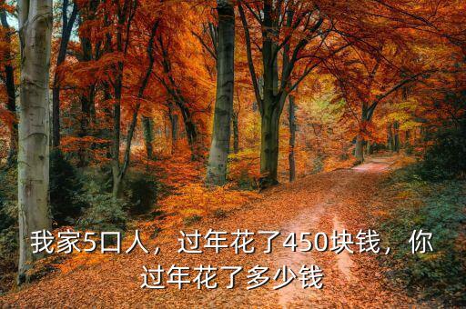 過(guò)年花了多少,過(guò)年花了450塊錢