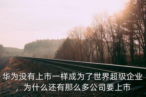 華為沒有上市一樣成為了世界超級企業(yè)，為什么還有那么多公司要上市