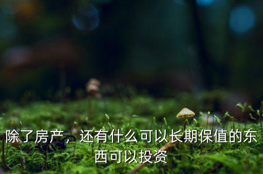 除了房產(chǎn)，還有什么可以長期保值的東西可以投資