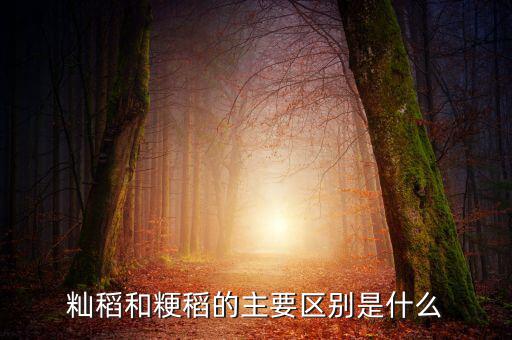 秈稻和粳稻的主要區(qū)別是什么