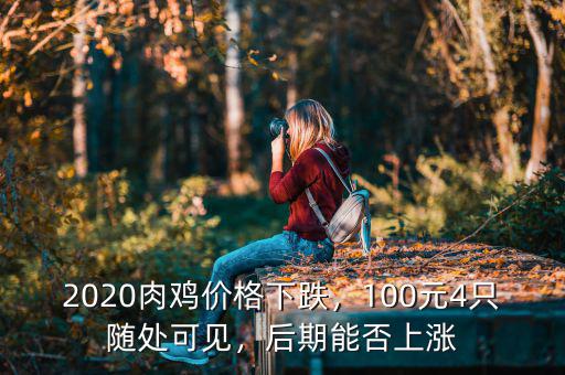 2020肉雞價格下跌，100元4只隨處可見，后期能否上漲