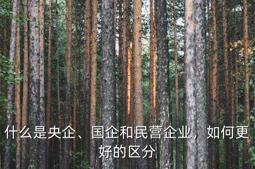 什么是央企、國企和民營企業(yè)，如何更好的區(qū)分