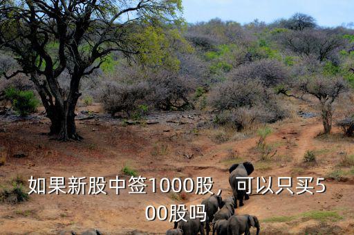 如果新股中簽1000股，可以只買500股嗎