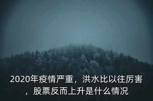 2020年疫情嚴重，洪水比以往厲害，股票反而上升是什么情況