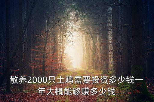 散養(yǎng)2000只土雞需要投資多少錢一年大概能夠賺多少錢