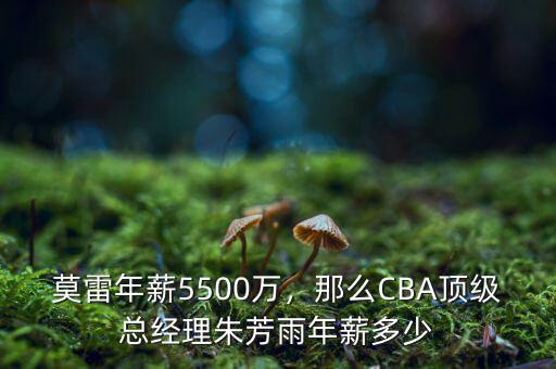 莫雷年薪5500萬，那么CBA頂級總經(jīng)理朱芳雨年薪多少