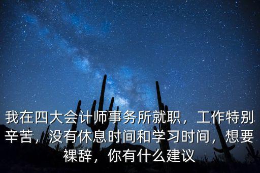 四大的審計(jì)做什么,聽說四大主要做審計(jì)和咨詢