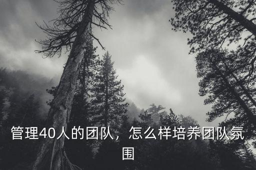 管理40人的團(tuán)隊(duì)，怎么樣培養(yǎng)團(tuán)隊(duì)氛圍