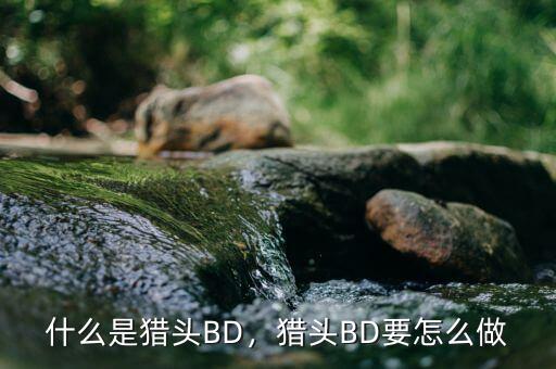 什么是獵頭BD，獵頭BD要怎么做