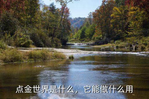 點金世界是什么，它能做什么用