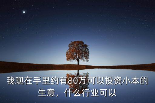 我現(xiàn)在手里約有80萬(wàn)可以投資小本的生意，什么行業(yè)可以