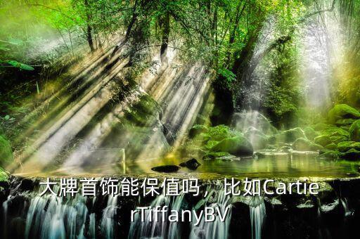 大牌首飾能保值嗎，比如CartierTiffanyBV