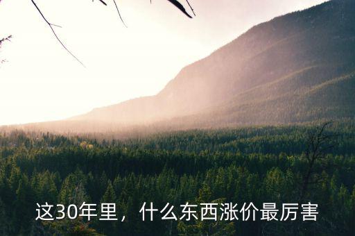 這30年里，什么東西漲價最厲害