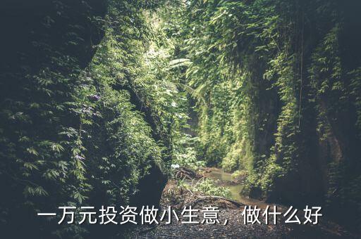 一萬(wàn)元投資做小生意，做什么好