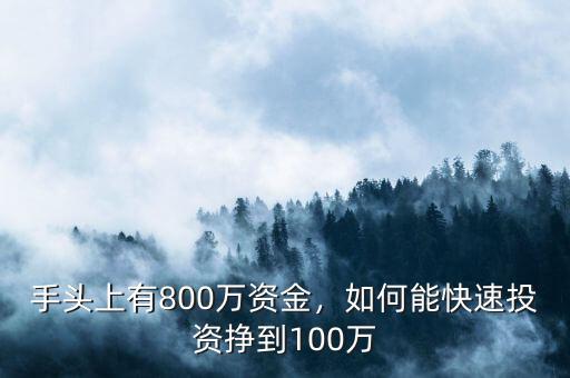 手頭上有800萬資金，如何能快速投資掙到100萬