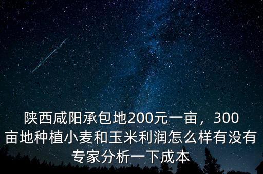 陜西咸陽(yáng)承包地200元一畝，300畝地種植小麥和玉米利潤(rùn)怎么樣有沒(méi)有專家分析一下成本