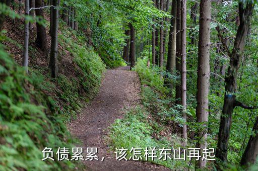 負債累累怎么東山再起,該怎樣?xùn)|山再起