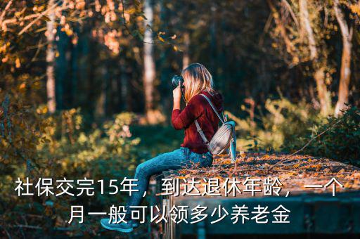 社保交完15年，到達(dá)退休年齡，一個(gè)月一般可以領(lǐng)多少養(yǎng)老金