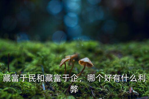 藏富于民要等到什么時(shí)候,藏富于國的漢朝