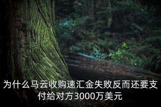 為什么馬云收購速匯金失敗反而還要支付給對(duì)方3000萬美元