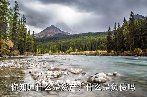 你知道什么是資產(chǎn)，什么是負債嗎