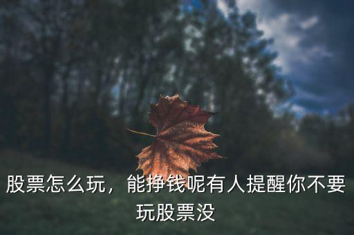 股票怎么玩，能掙錢呢有人提醒你不要玩股票沒(méi)