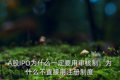 A股IPO為什么一定要用審核制，為什么不直接用注冊(cè)制度