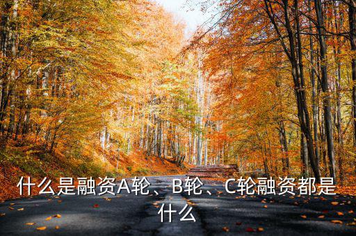 a輪b輪c輪融資什么意思,b輪和c輪融資都是什么意思