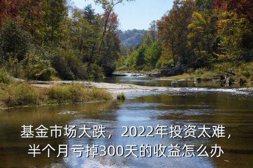 基金市場(chǎng)大跌，2022年投資太難，半個(gè)月虧掉300天的收益怎么辦