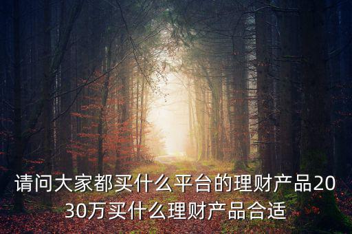 請(qǐng)問(wèn)大家都買什么平臺(tái)的理財(cái)產(chǎn)品2030萬(wàn)買什么理財(cái)產(chǎn)品合適