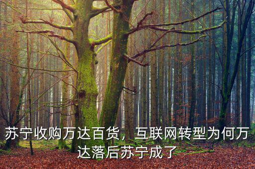 蘇寧收購(gòu)萬(wàn)達(dá)百貨，互聯(lián)網(wǎng)轉(zhuǎn)型為何萬(wàn)達(dá)落后蘇寧成了