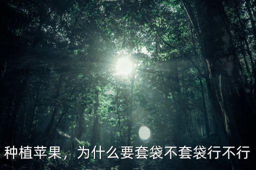 種植蘋(píng)果，為什么要套袋不套袋行不行