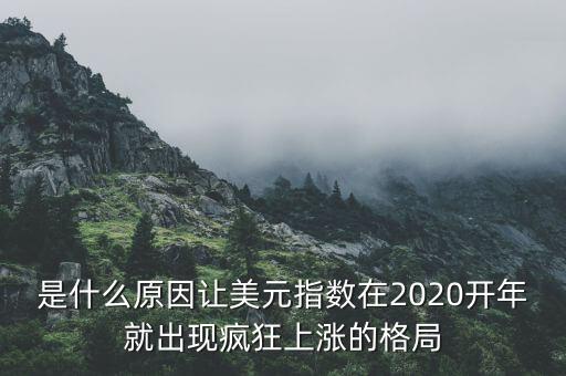 是什么原因讓美元指數(shù)在2020開年就出現(xiàn)瘋狂上漲的格局