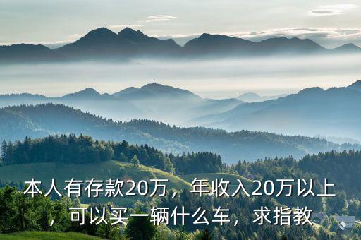 本人有存款20萬，年收入20萬以上，可以買一輛什么車，求指教