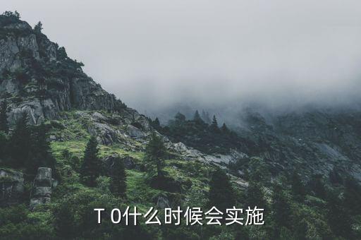 股市t十0什么時(shí)候?qū)嵭?T 0什么時(shí)候會(huì)實(shí)施