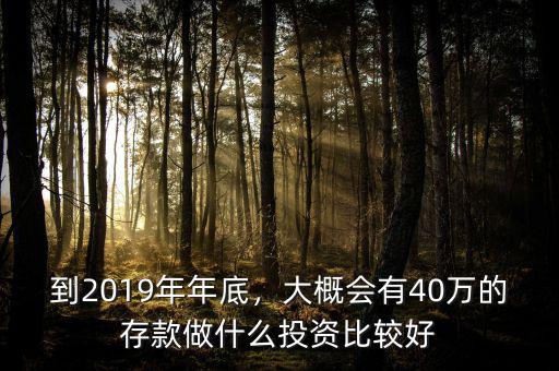 到2019年年底，大概會(huì)有40萬的存款做什么投資比較好