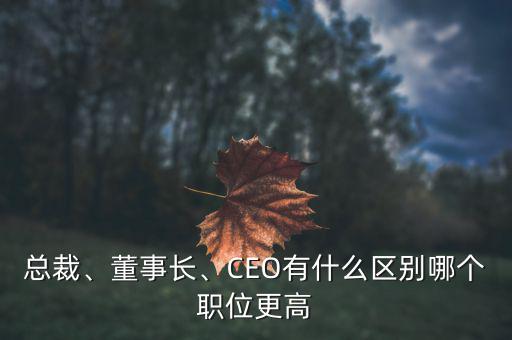 總裁、董事長(zhǎng)、CEO有什么區(qū)別哪個(gè)職位更高